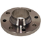 A182 F304H F316H F317 WN Stainless Steel Weld Neck Flange