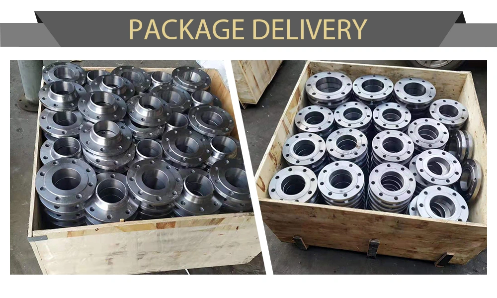 Metric Industrial Pipe Adapter Collar Dn15 Pipe Plate Flange 6 Hole PN6 1