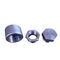 High Pressure 3000 PSI Q235 Stainless Steel Forged Fittings