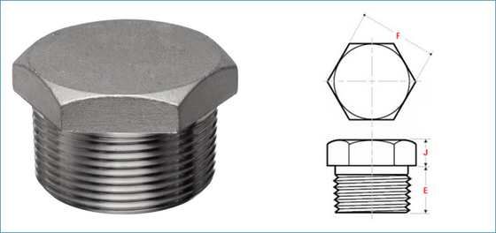 Hex Head SCH STD GB Stainless Steel Forged Fittings